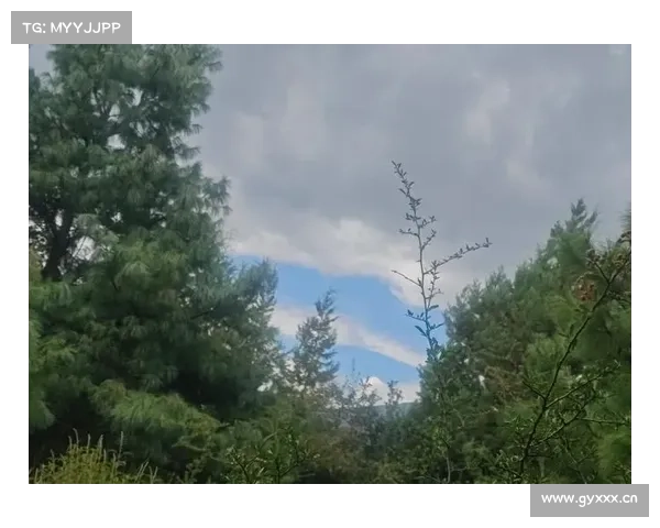 梦幻之旅,指尖上的仙境 梦幻之旅,指尖上的仙境